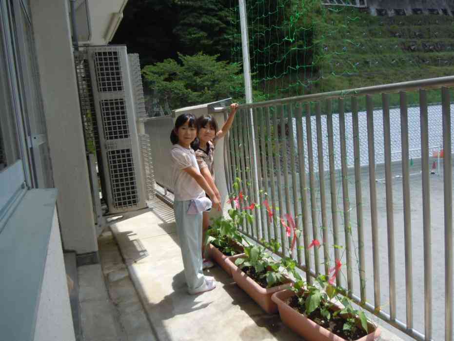koutei250627　５