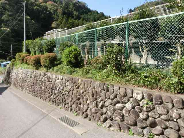 kyusyoku251030　４