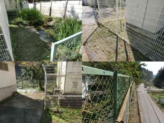 北小カップの環境　1