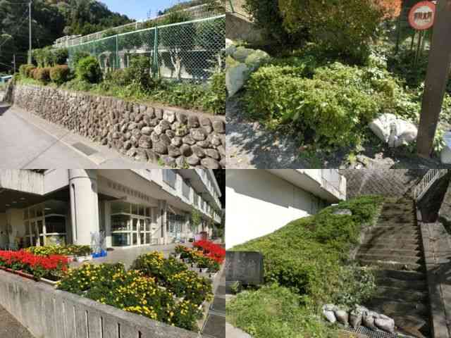 北小カップの環境　2