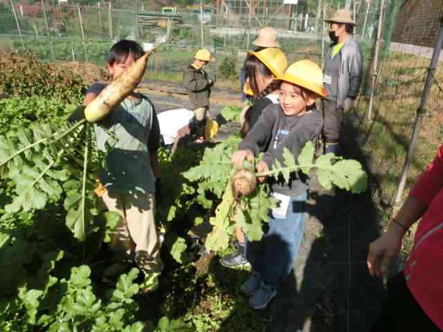 kyusyoku251120　２